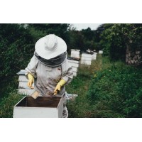 Пенсія бджоляра